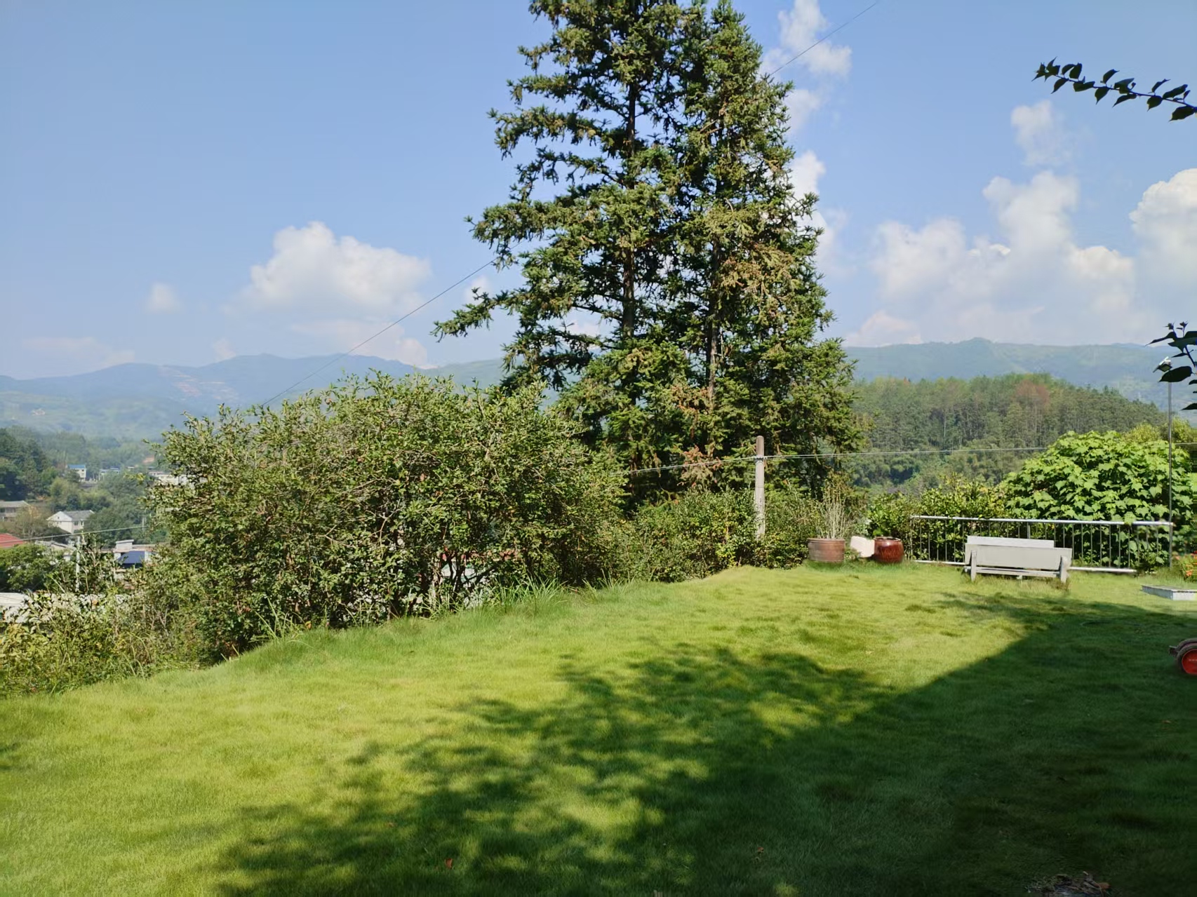 Lawn with a large central tree and mountains in the distance
